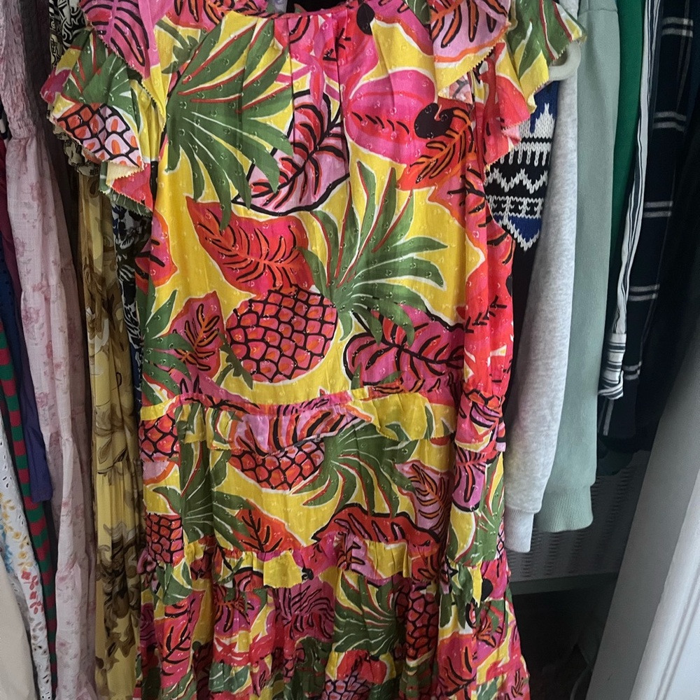 Farm Rio Dress - Picture 5 of 5